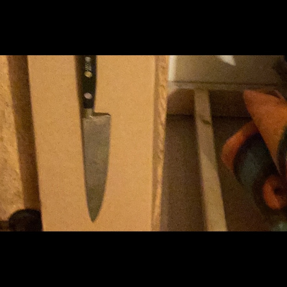 Vintage Professional Sabatier 10" Blade Chef Knife